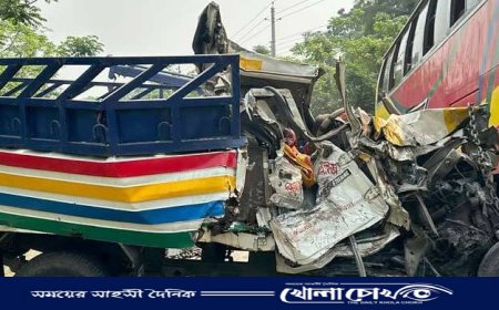 ফরিদপুরের ভয়াবহ সড়ক দুর্ঘটনার ৪ কারণ জানালো তদন্ত কমিটি