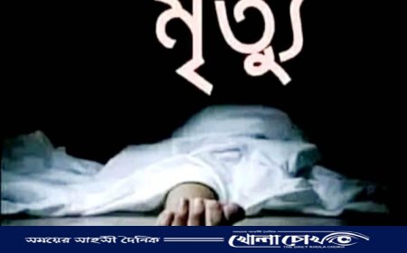 কোম্পানিগঞ্জে বিয়ের গেইটে সাজাতে গিয়ে শ্রমিকের মৃত্যু