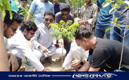 কেন্দ্রীয় নির্দেশনায় ইবি ছাত্রলীগের বৃক্ষরোপণ কর্মসূচি