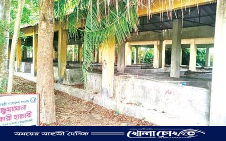 চট্টগ্রামের হালদা প্রাকৃতিক মৎস্য প্রজনন প্রকল্পের হ্যাচারি অকেজো, জনবল সংকট