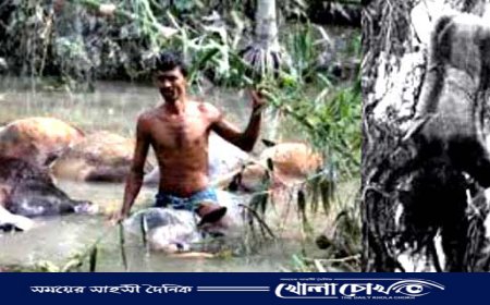আজ ভয়াল ২৯ এপ্রিল,  চট্টগ্রামের বাঁশখালীতে এখনো নির্মাণ হয়নি স্থায়ী বেড়িবাঁধ
