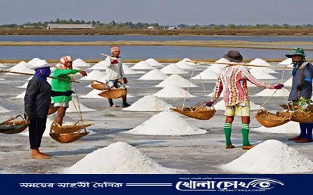 লবন উৎপাদনে ৬৩ বছরের রেকর্ড ছাড়িয়েছে