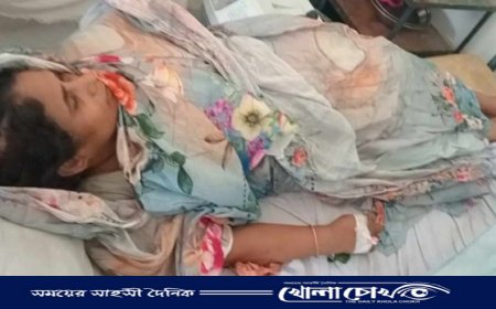 ভাঙ্গায় পূর্বশত্রুতা ও জমাজমির দ্বন্দের জের ধরে প্রতিপক্ষের উপর  হামলা: নারী সহ আহত-২