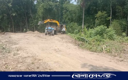 সালথায় মাটি কাটার হিড়িক মাটিবোঝাই ট্রলি চলার কারণে নষ্ট হচ্ছে পাকা সড়ক 