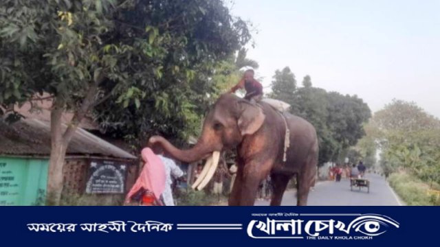 নওগাঁর আত্রাইয়ে হাতি দিয়ে চাঁদাবাজিতে অতিষ্ঠ পথচারীরা