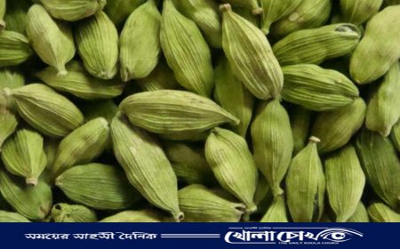 এলাচের দাম নিয়ে যত কারসাজি