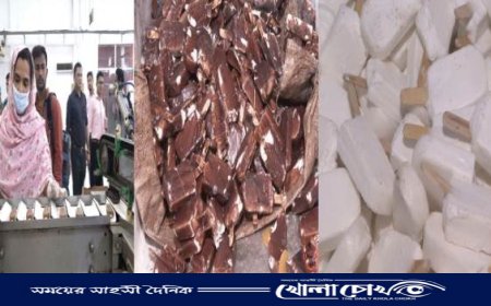 চট্টগ্রামে আইসক্রিমে খাবারের রং এর পরিবর্তে কাপড়ের রং ব্যবহার, ১ লক্ষ টাকা জরিমানা 