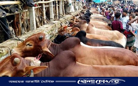 চট্টগ্রামে কোরবানির জন্য প্রায় ৭ লাখ পশু প্রস্তুত করা হচ্ছে 