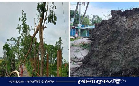 নাসিরনগরে কালবৈশাখীর ঝড়ে ৪০ বাড়িঘর ক্ষতিগ্রস্ত, বিদ্যুৎ বিপর্যয়