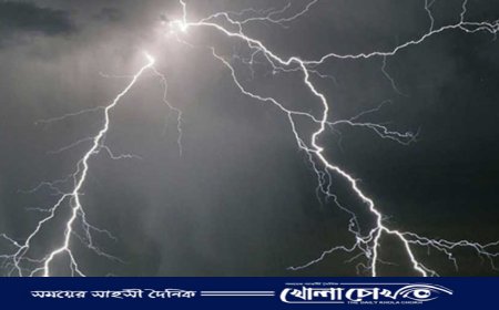 নওগাঁয় বজ্রপাতে ধানকাটা শ্রমিকের মৃত্যু 