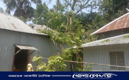 সালথায় কালবৈশাখীর ঝড়ে প্রতিবেশির গাছ ভেঙ্গে পড়ে দিনমুজুরের ব্যাপক ক্ষতি 