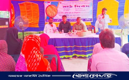 খোকসায় বোরোধানের মাঠ দিবস অনুষ্ঠিত 