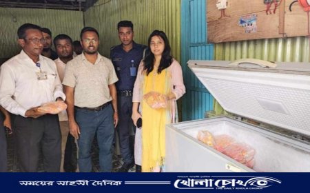 ভাঙ্গায় ভ্রাম্যমাণ আদালতের অভিযানে নকল আইসক্রিম কারখানা সিলগালাঃ ১ লাখ টাকা জরিমানা 