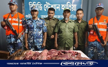 নোয়াখালীর হাতিয়াতে ৩০ কেজি হরিণের মাংস জব্দ