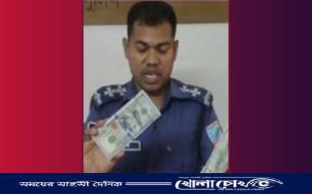 চুরি করেও ‌শেষ রক্ষা হলো না, টয়লেটের সেফটি ট্যাংক থেকে ‌ উদ্ধার হল ডলার 