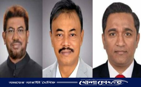 নোয়াখালীতে তিন উপজেলায় আওয়ামী লীগ নেতারা জয়ী