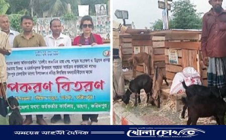 ভাঙ্গায় হতদরিদ্র নিবন্ধিত জেলেদের মাঝে ছাগল বিতরণ