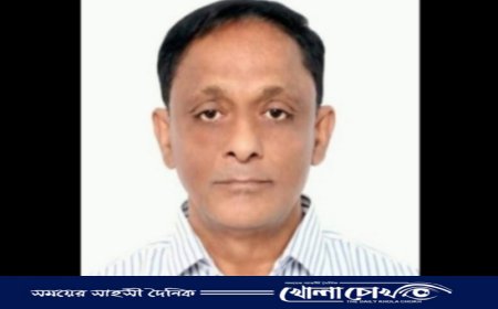 নতুন কারিকুলামে এক বছর