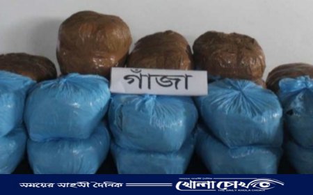 নওগাঁয় সাড়ে ৪৭ কেজি গাঁজাসহ গ্রেফতার- ৩