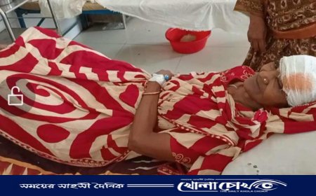 ভাঙ্গায় জমি-জমার দ্বন্দের জেরে বৃদ্ধাকে কুপিয়ে আহত করার অভিযোগ 