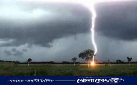 নওগাঁয় পৃথক বজ্রপাতে ২ কৃষক ও ১ নারীসহ ৩ জনের মৃত্যু