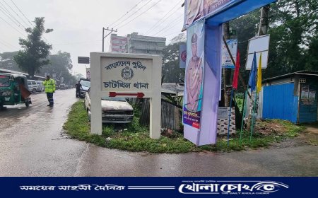 ভুল চিকিৎসায় চাটখিলের একটি প্রাইভেট হসপিটালে মা-সহ নবজাতকের মৃত্যু