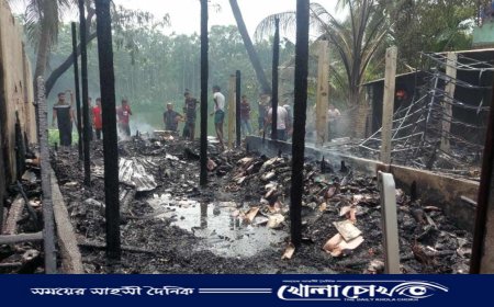 চাটখিলে জেনারেটরের শর্ট সার্কিটে ৮ দোকান পুড়ে ছাই