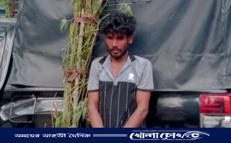 মাদকদ্রব্য নিয়ন্ত্রণ অধিদপ্তরের অভিযানে ৩ টি গাঁজার গাছ সহ ১ জন গ্রেফতার 