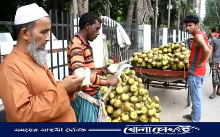 গরমে কদর বেড়েছে কচি তালশাঁসের
