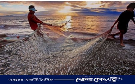 নওগাঁর নদীতে নতুন পানি নিষিদ্ধ জাল দিয়ে অবাধে মাছ শিকারিরা বেপরোয়া 