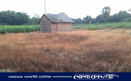 ভাঙ্গায় গভীর রাতে প্রবাসীর জমি দখলের অভিযোগ