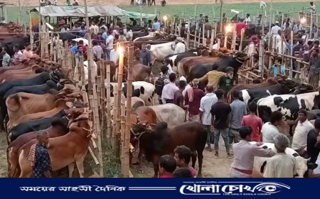 ভাঙ্গায় শেষ মুহুর্তে জমে উঠেছে পশুর হাটগুলো