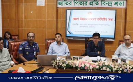 ফরিদপুর ‌জেলা উন্নয়ন সমন্বয় কমিটির সভা অনুষ্ঠিত