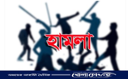 আলফাডাঙ্গায় আধিপত্য বিস্তারকে কেন্দ্র করে দুর্বৃত্তদের হামলায় ২ জন আহত 