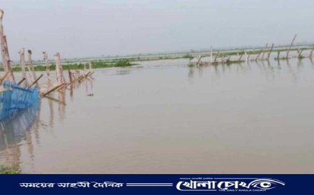 নওগাঁর পুনর্ভবা নদির বিভিন্ন স্থানে বাঁশের ব্যারিকেট অবৈধ সুতি জালে দেশীয় প্রজাতির মাছ নিধন