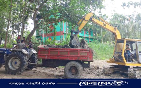 সালথায় কৃষিজমির মাটি বিক্রি থামছেই না