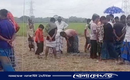 ভাঙ্গায় বিলের ভিতর মিললো কঙ্কালসার মানুষের মৃতদেহ