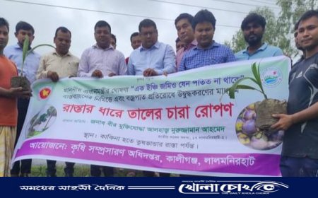 বজ্রপাত প্রতিরোধে রাস্তার ধারে তালের চারা রোপণ