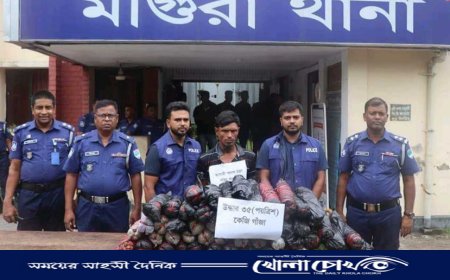 মাগুরায় ৩৫ কেজি গাঁজাসহ আটক-১ 