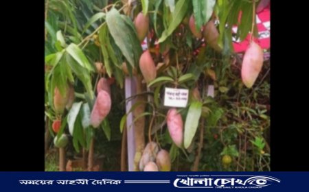 বৃক্ষ মেলায় একটি আম গাছ বিক্রি হচ্ছে ৫০ হাজার টাকায় 
