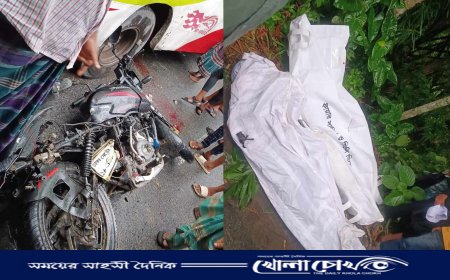 বোয়ালমারীতে সড়ক দুর্ঘটনায় দুই ভাইয়ের মৃত্যু