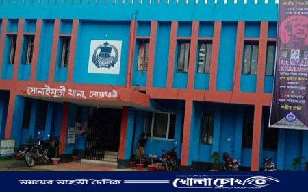 সোনাইমুড়ীতে সড়ক দুর্ঘটনায় ভাই-বোনের মৃত্যু