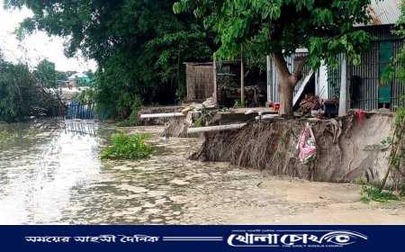 ফরিদপুরে বালি খেকোদের তান্ডবঃ  শহর রক্ষা বাঁধ তীব্র ঝুঁকিতে