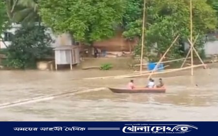 ফরিদপুরে বাড়ছেই পদ্মার পানি, নিম্নাঞ্চল প্লাবিত 