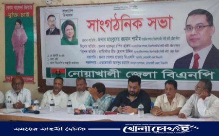 নোয়াখালীতে বিএনপির সাংগঠনিক সভা অনুষ্ঠিত