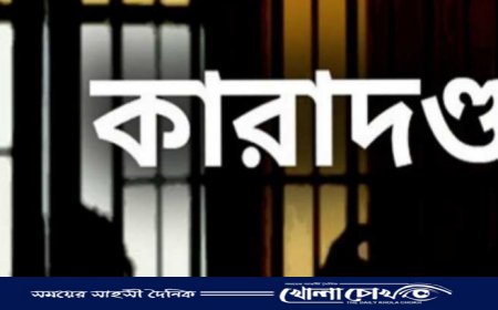 নাসিরনগরে দুই মাদকসেবীর এক বছরের কারাদণ্ড