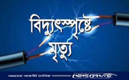 মহম্মদপুরে বিদ্যুৎস্পৃষ্টে স্ত্রীর মৃত্যু, স্বামী আহত 