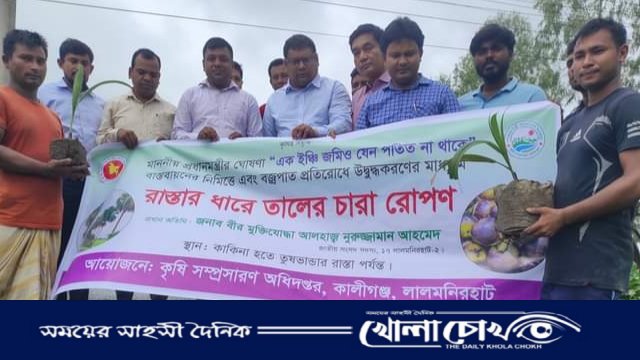 বজ্রপাত প্রতিরোধে রাস্তার ধারে তালের চারা রোপণ