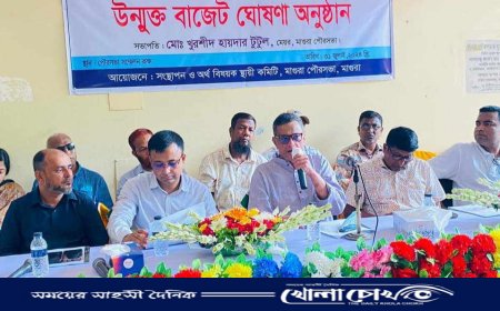 মাগুরা পৌরসভার ২০২৪-২০২৫ অর্থ বছরের উন্মুক্ত বাজেট ঘোষণা 
