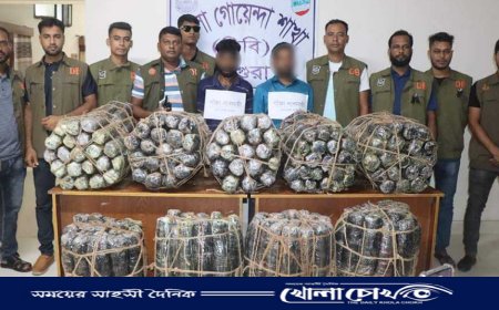 মাগুরায় ডিবি পুলিশের বিশেষ অভিযানে-১৮০ কেজি গাঁজাসহ-২ মাদক ব্যবসায়ী আটক 